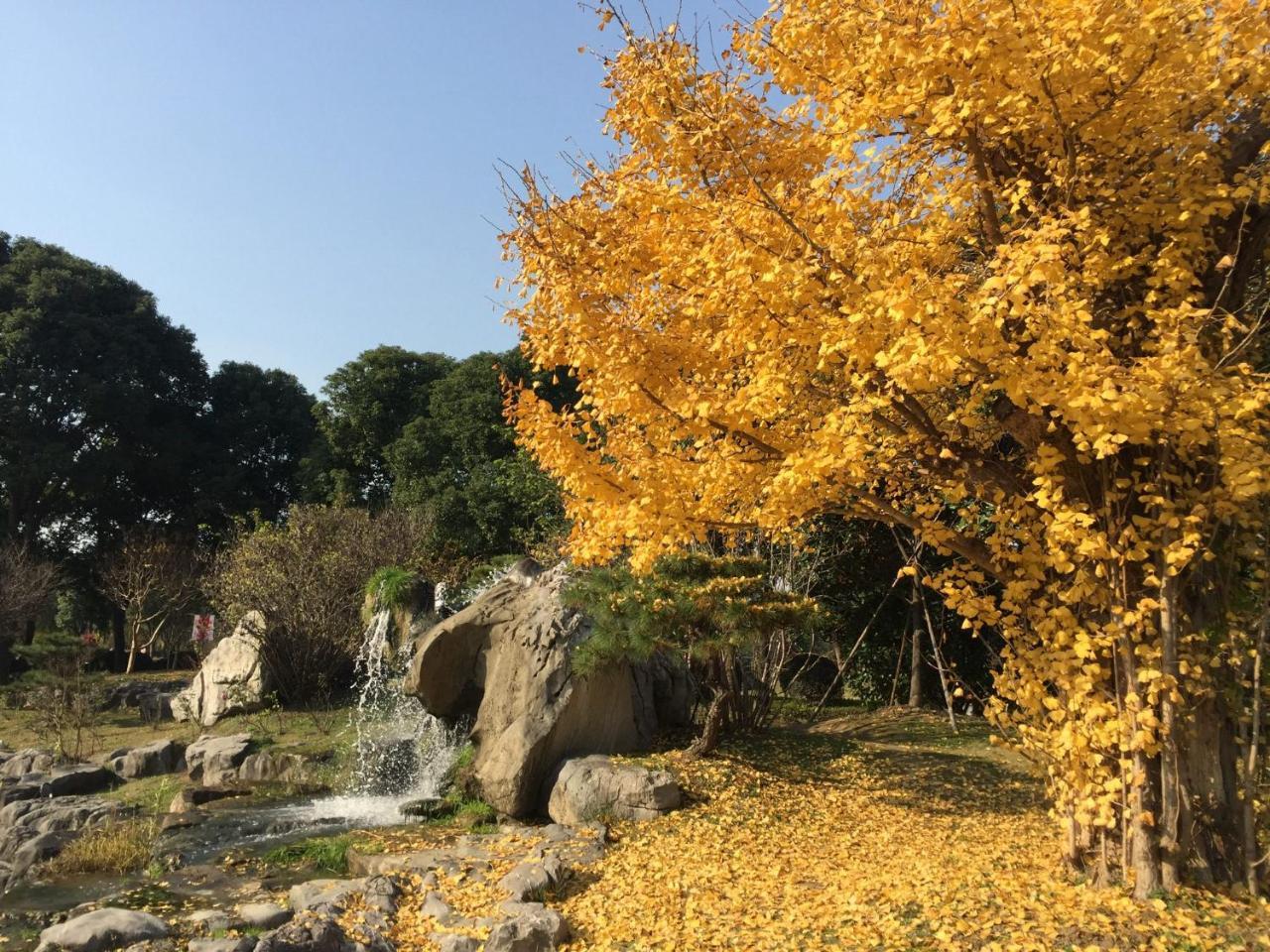 Tongli Lake View Hotel Suzhou  Buitenkant foto