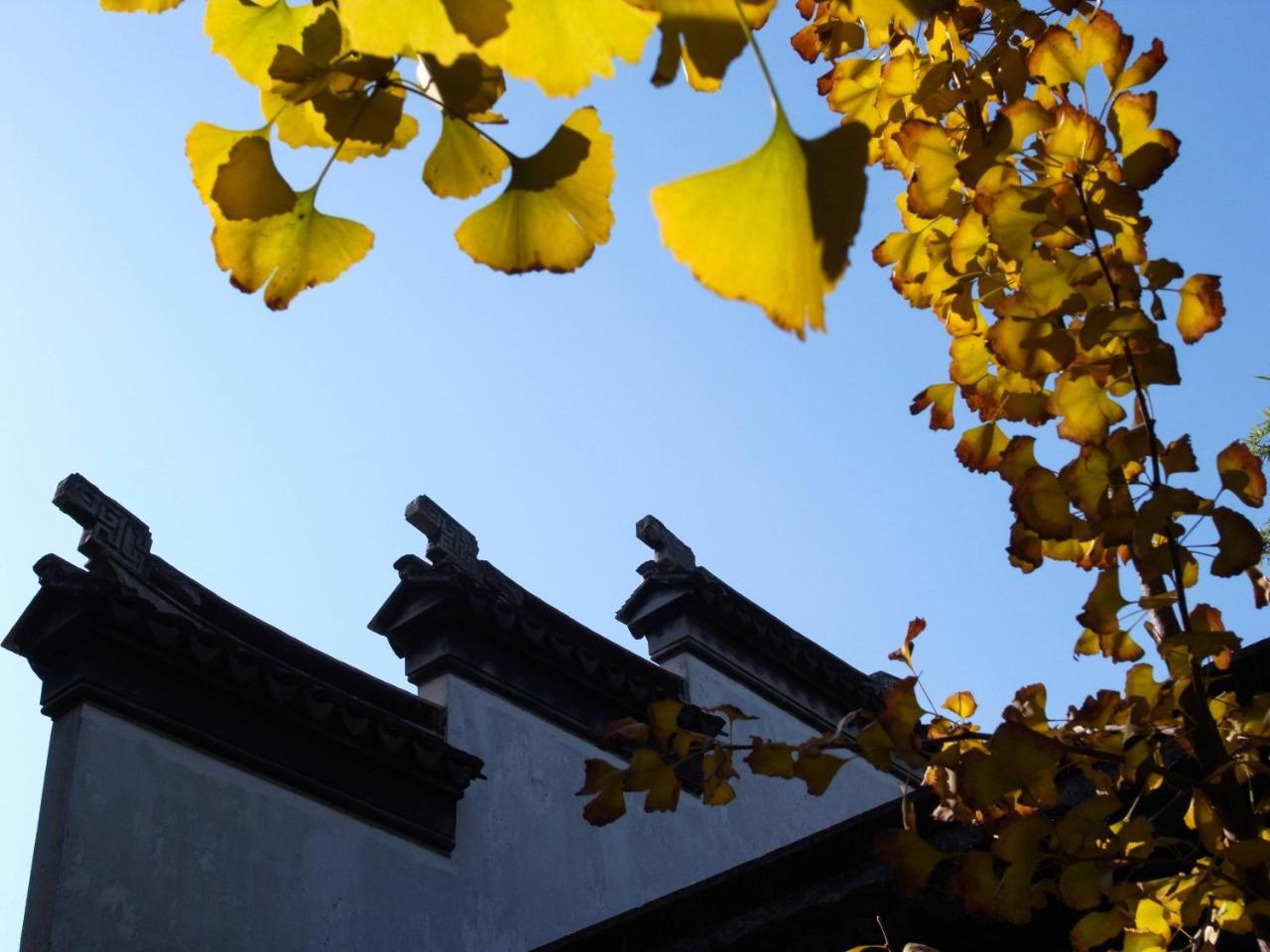 Tongli Lake View Hotel Suzhou  Buitenkant foto