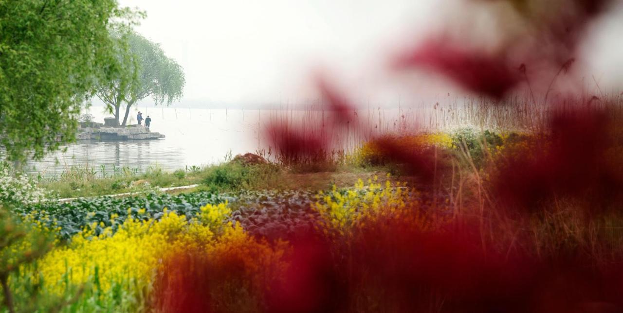 Tongli Lake View Hotel Suzhou  Buitenkant foto